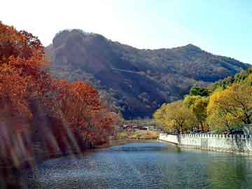 管家婆黑白马报图库，曲沃黑帽seo